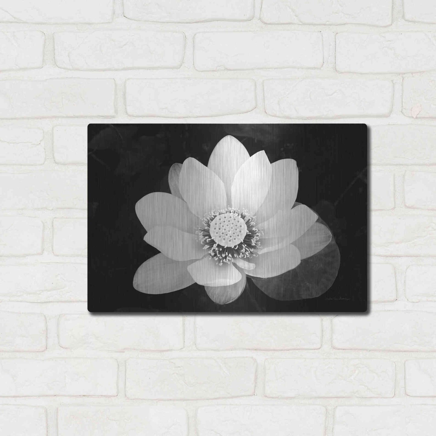 Luxe Metal Art 'Lotus Flower II v2' by Debra Van Swearingen, Metal Wall Art,16x12