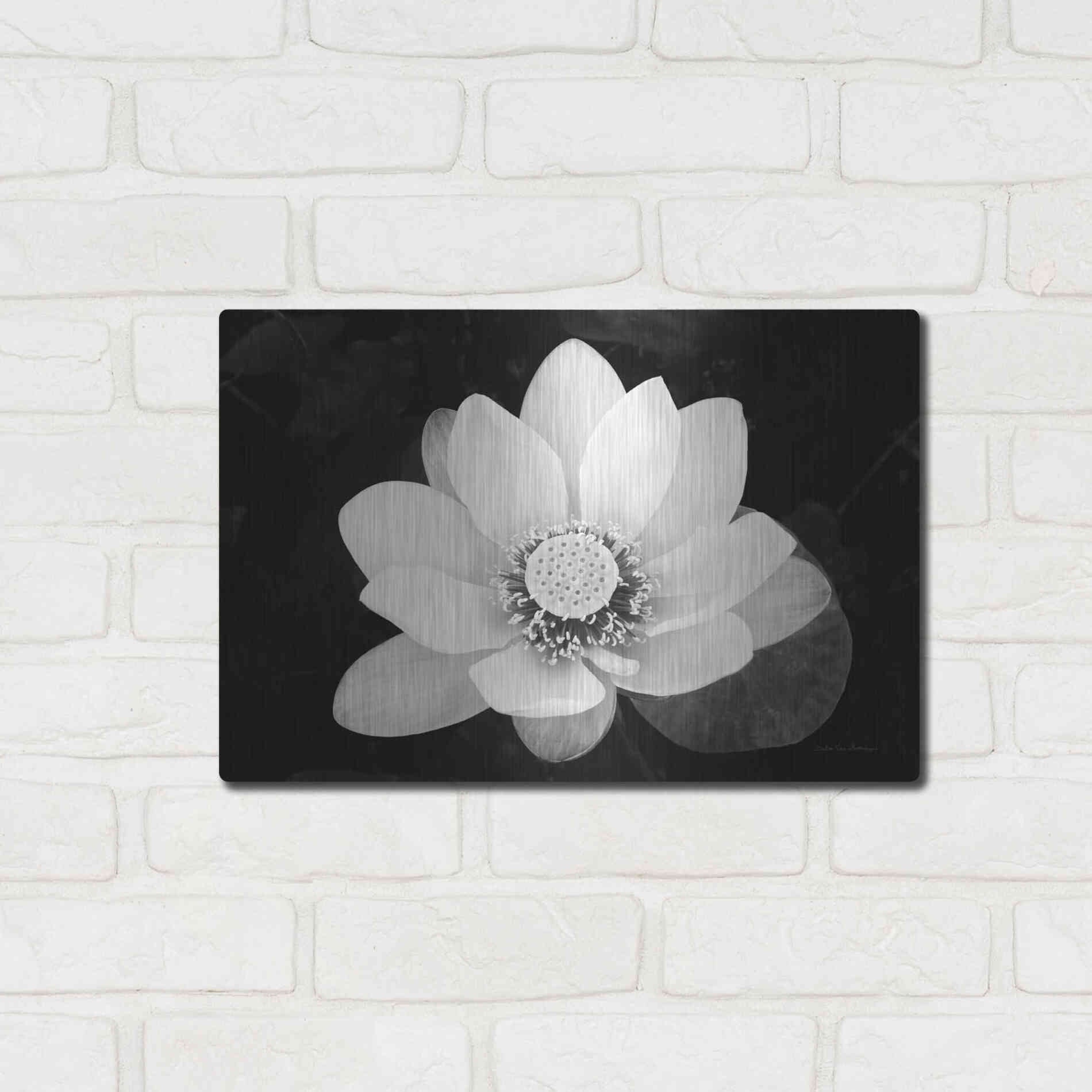 Luxe Metal Art 'Lotus Flower II v2' by Debra Van Swearingen, Metal Wall Art,16x12