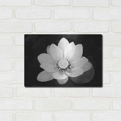 Luxe Metal Art 'Lotus Flower II v2' by Debra Van Swearingen, Metal Wall Art,16x12