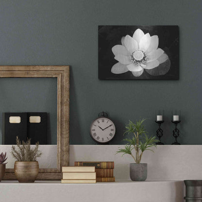 Luxe Metal Art 'Lotus Flower II v2' by Debra Van Swearingen, Metal Wall Art,16x12