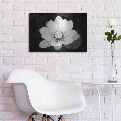 Luxe Metal Art 'Lotus Flower II v2' by Debra Van Swearingen, Metal Wall Art,24x16