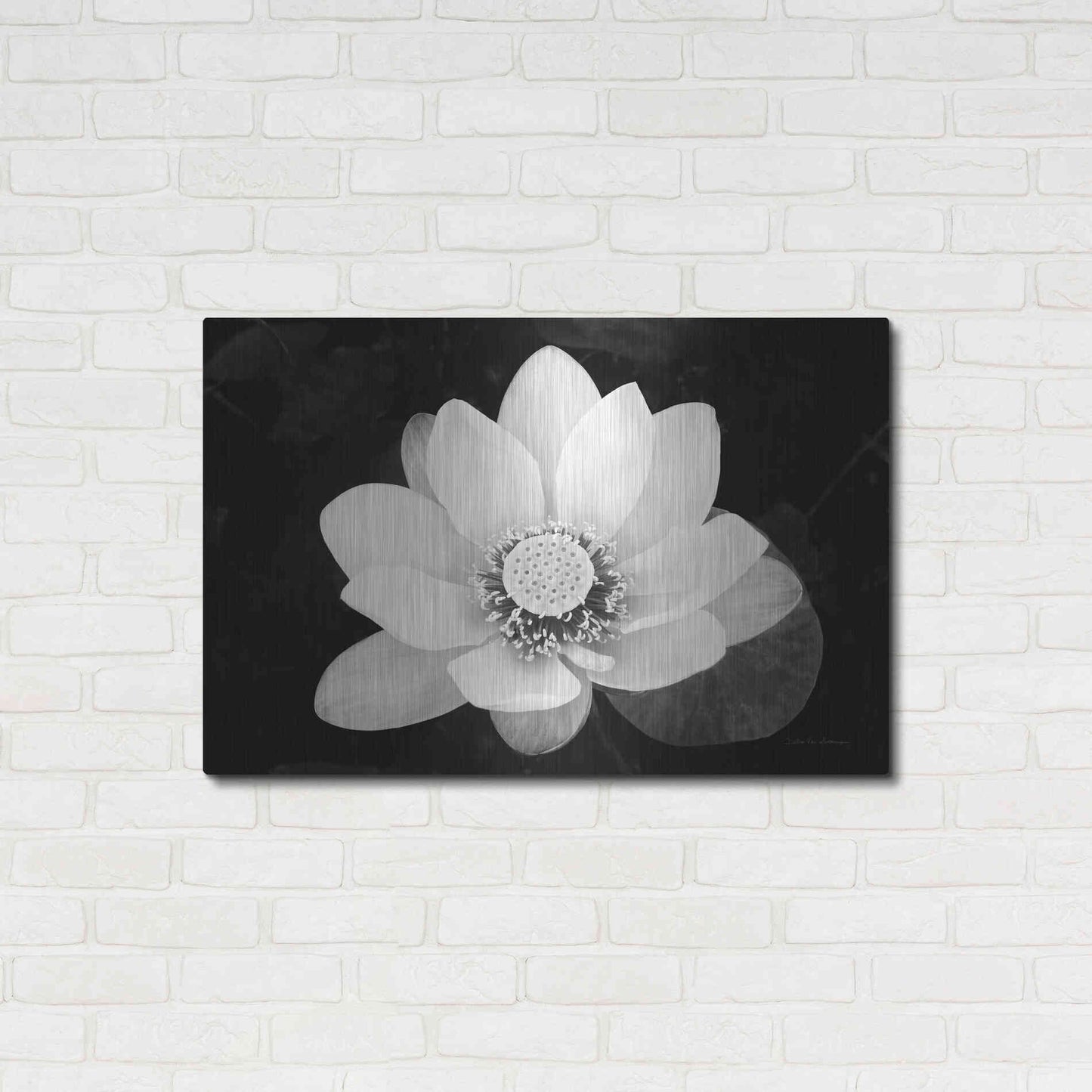 Luxe Metal Art 'Lotus Flower II v2' by Debra Van Swearingen, Metal Wall Art,36x24