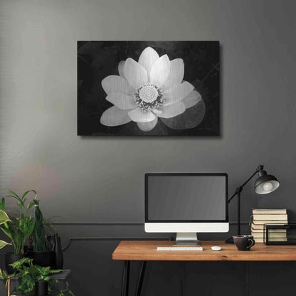 Luxe Metal Art 'Lotus Flower II v2' by Debra Van Swearingen, Metal Wall Art,36x24