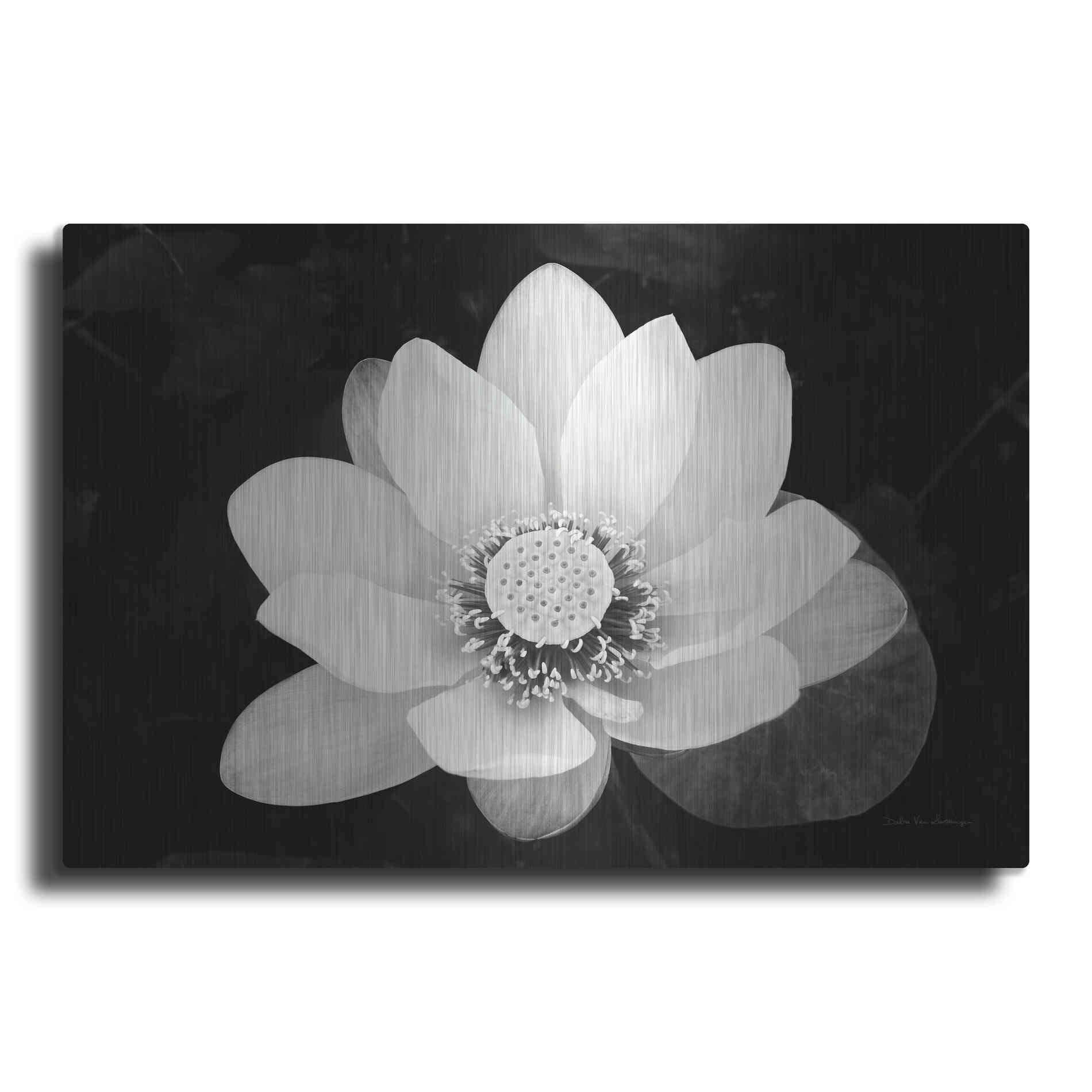 Luxe Metal Art 'Lotus Flower II v2' by Debra Van Swearingen, Metal Wall Art