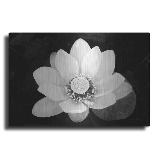 Luxe Metal Art 'Lotus Flower II v2' by Debra Van Swearingen, Metal Wall Art