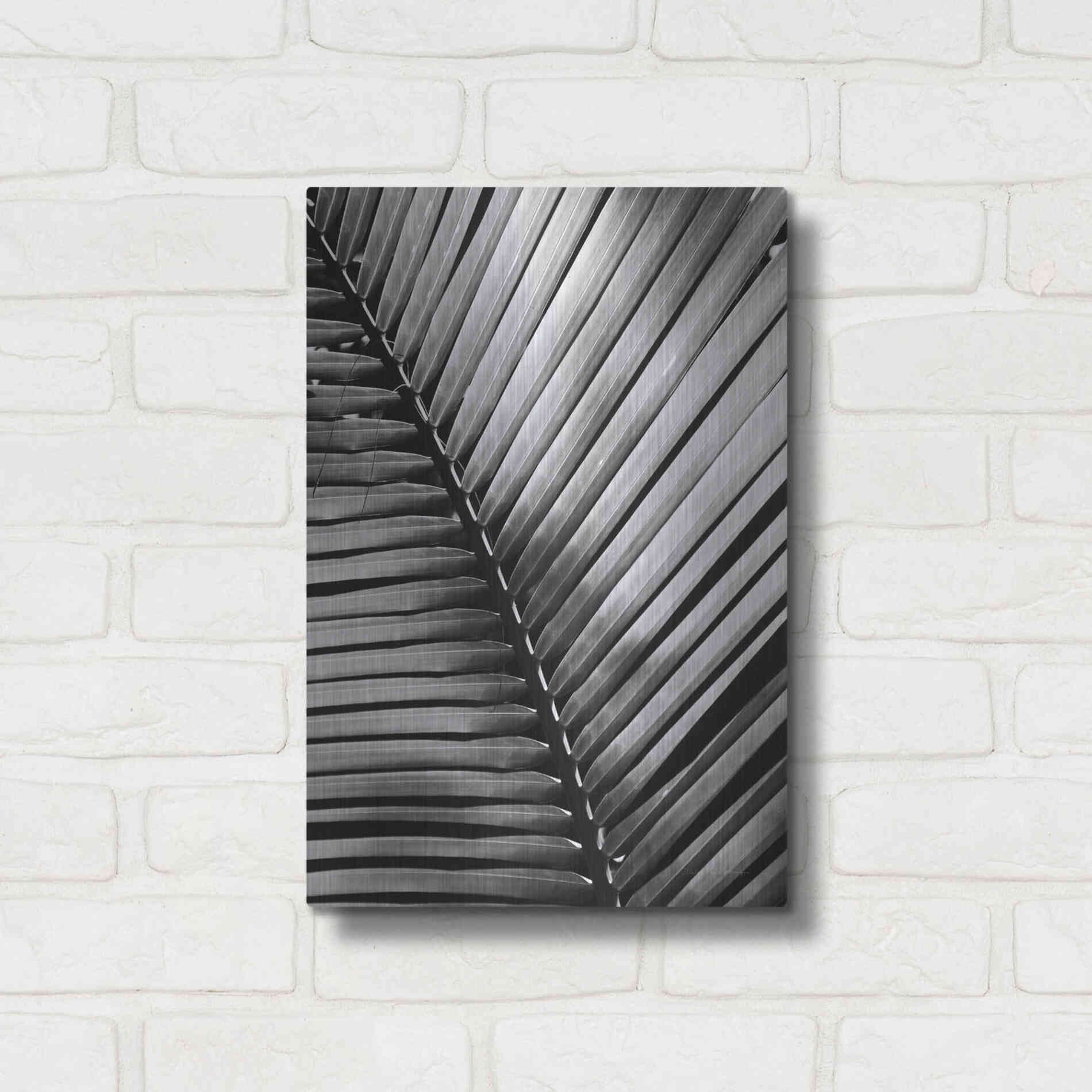 Luxe Metal Art 'Palm Frond I' by Debra Van Swearingen, Metal Wall Art,12x16