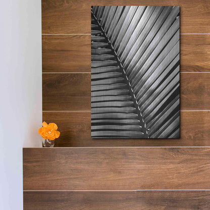 Luxe Metal Art 'Palm Frond I' by Debra Van Swearingen, Metal Wall Art,12x16