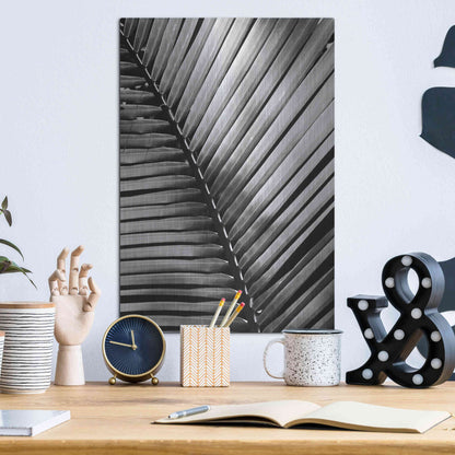 Luxe Metal Art 'Palm Frond I' by Debra Van Swearingen, Metal Wall Art,12x16