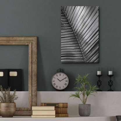 Luxe Metal Art 'Palm Frond I' by Debra Van Swearingen, Metal Wall Art,12x16