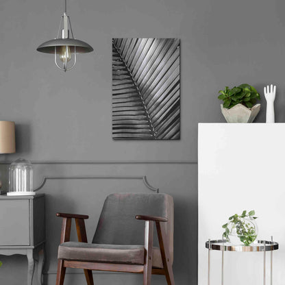 Luxe Metal Art 'Palm Frond I' by Debra Van Swearingen, Metal Wall Art,16x24