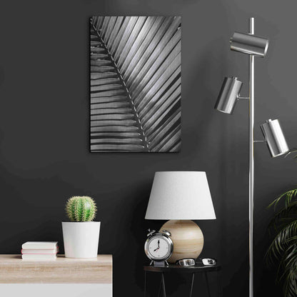 Luxe Metal Art 'Palm Frond I' by Debra Van Swearingen, Metal Wall Art,16x24