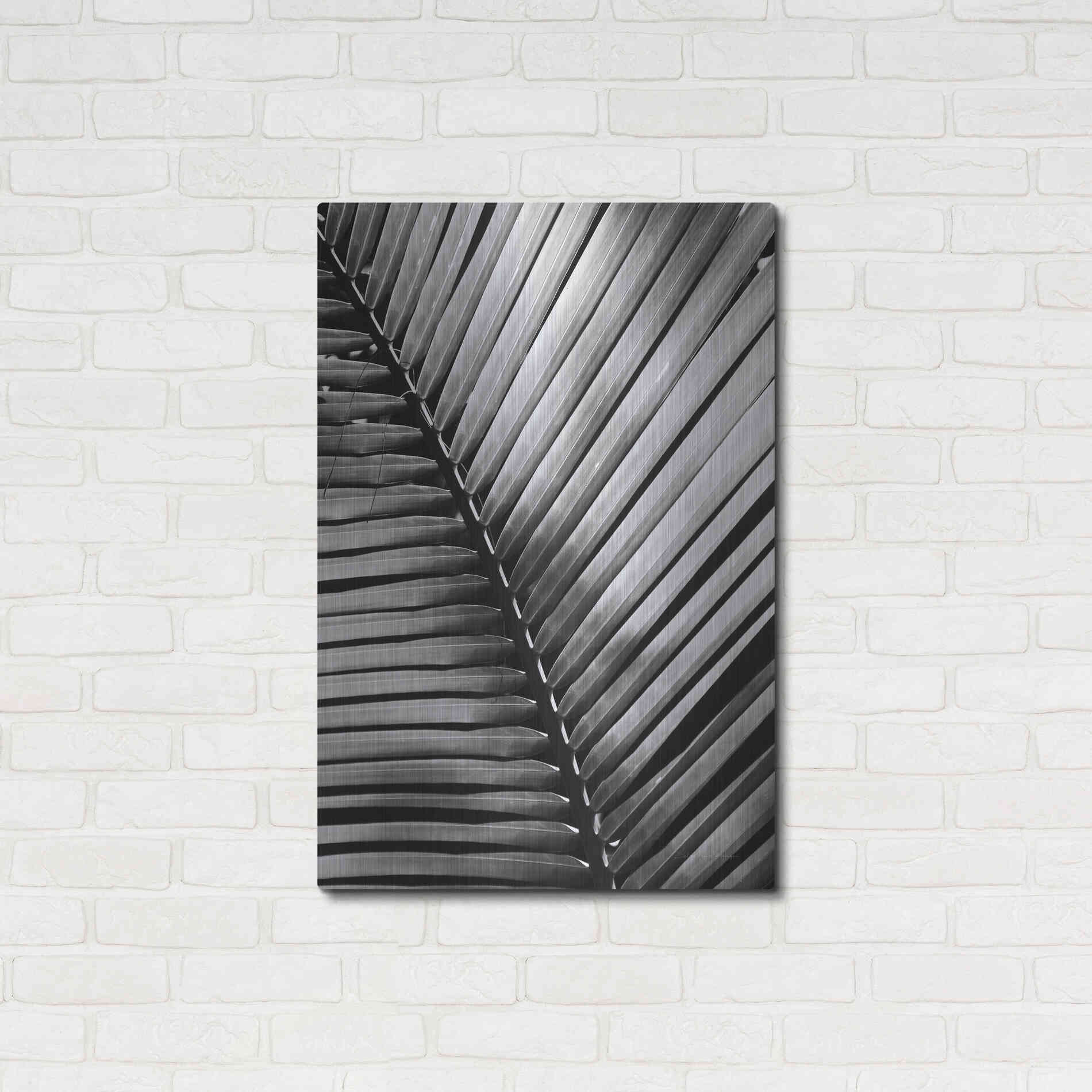 Luxe Metal Art 'Palm Frond I' by Debra Van Swearingen, Metal Wall Art,24x36