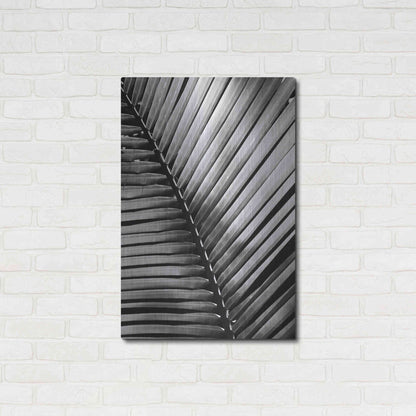 Luxe Metal Art 'Palm Frond I' by Debra Van Swearingen, Metal Wall Art,24x36