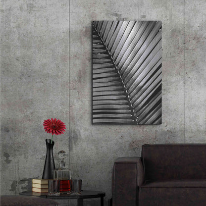 Luxe Metal Art 'Palm Frond I' by Debra Van Swearingen, Metal Wall Art,24x36
