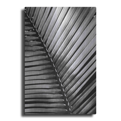 Luxe Metal Art 'Palm Frond I' by Debra Van Swearingen, Metal Wall Art
