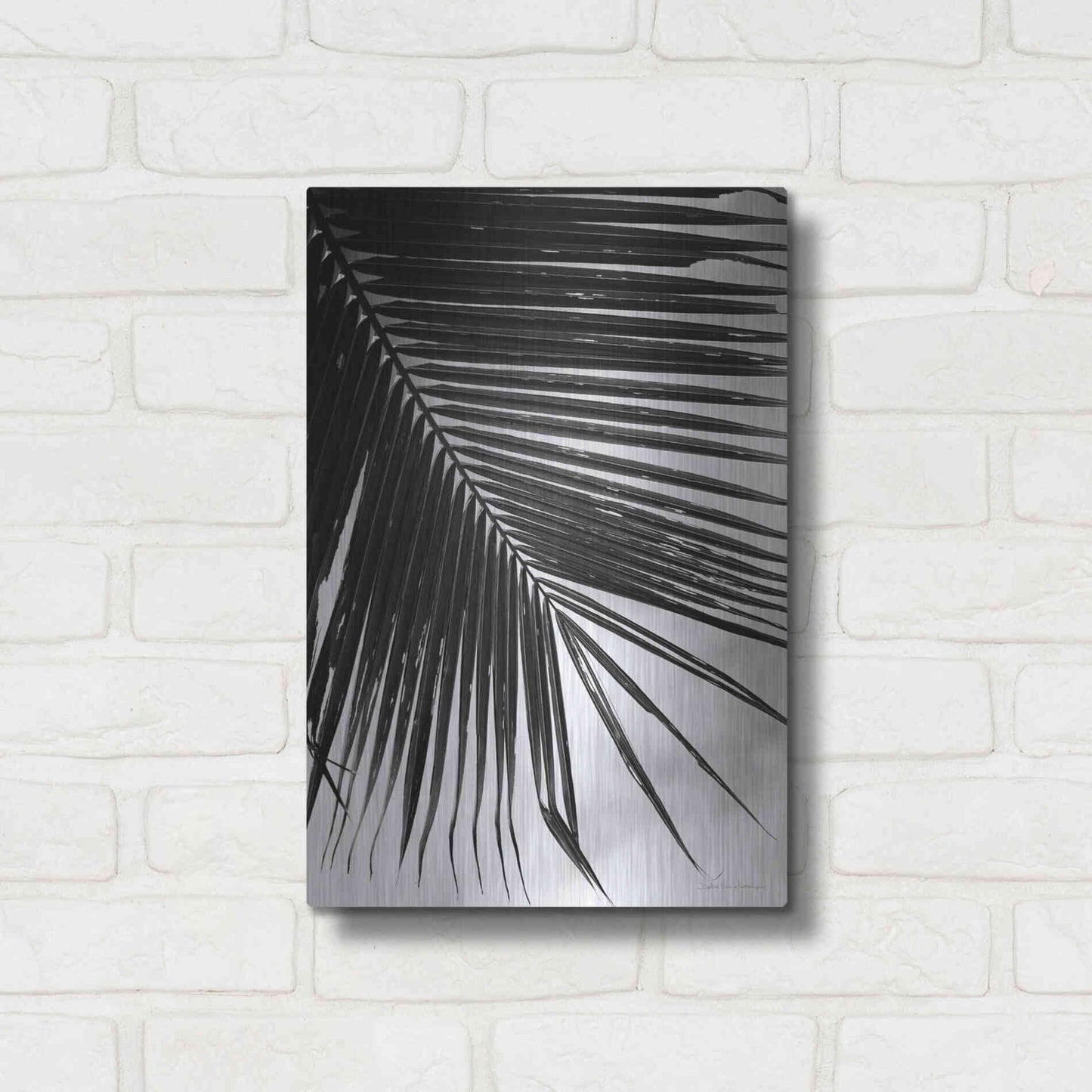Luxe Metal Art 'Palm Frond II' by Debra Van Swearingen, Metal Wall Art,12x16