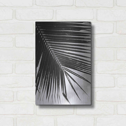 Luxe Metal Art 'Palm Frond II' by Debra Van Swearingen, Metal Wall Art,12x16