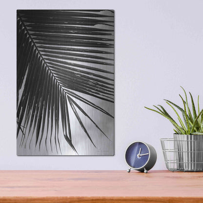 Luxe Metal Art 'Palm Frond II' by Debra Van Swearingen, Metal Wall Art,12x16