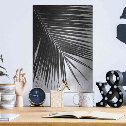 Luxe Metal Art 'Palm Frond II' by Debra Van Swearingen, Metal Wall Art,12x16