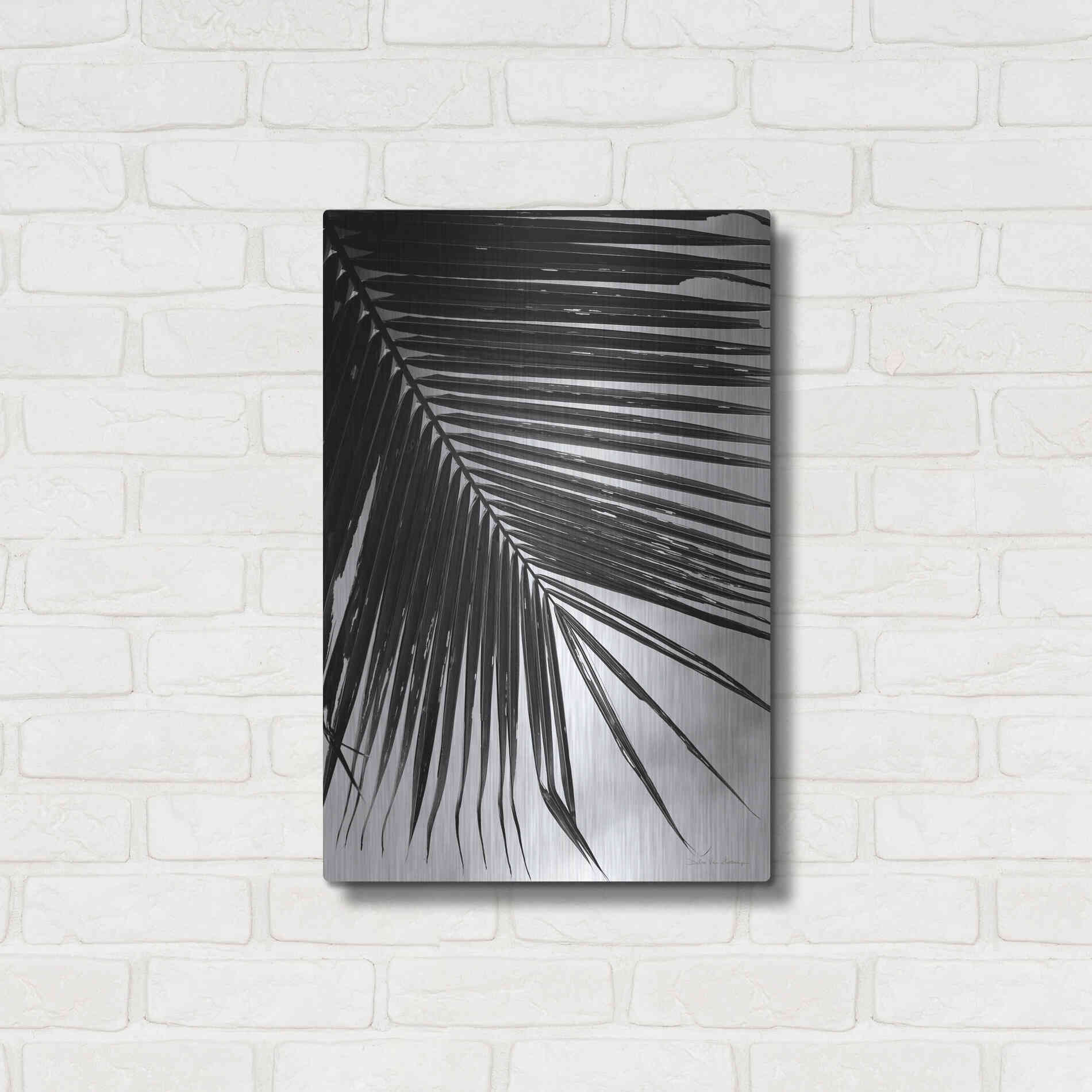 Luxe Metal Art 'Palm Frond II' by Debra Van Swearingen, Metal Wall Art,16x24