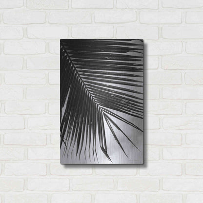 Luxe Metal Art 'Palm Frond II' by Debra Van Swearingen, Metal Wall Art,16x24