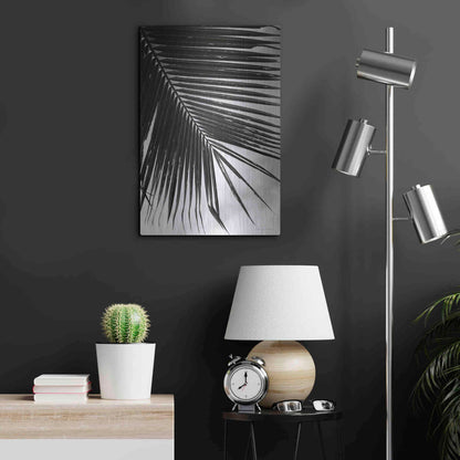 Luxe Metal Art 'Palm Frond II' by Debra Van Swearingen, Metal Wall Art,16x24