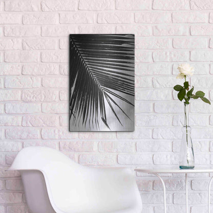 Luxe Metal Art 'Palm Frond II' by Debra Van Swearingen, Metal Wall Art,16x24