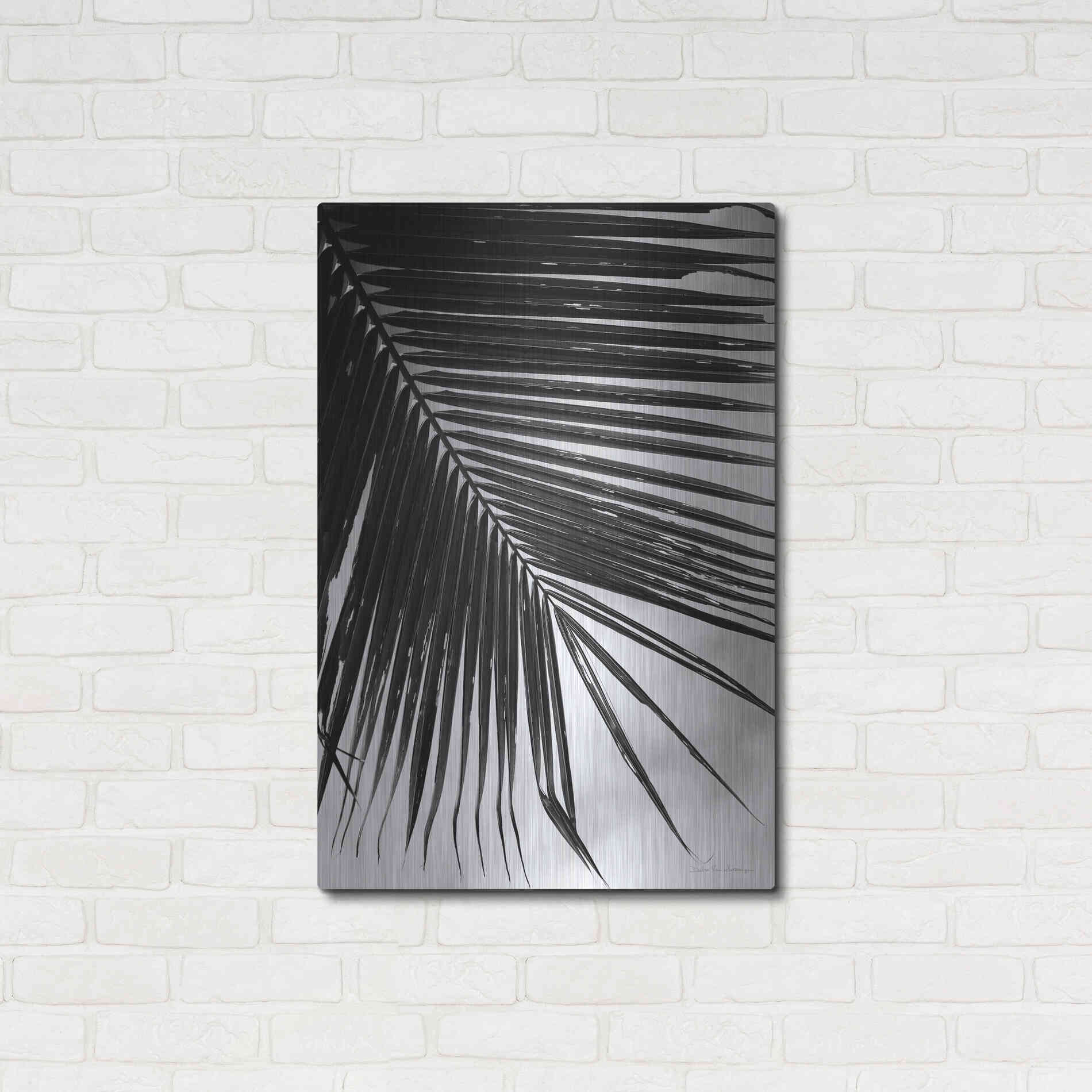 Luxe Metal Art 'Palm Frond II' by Debra Van Swearingen, Metal Wall Art,24x36