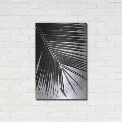 Luxe Metal Art 'Palm Frond II' by Debra Van Swearingen, Metal Wall Art,24x36