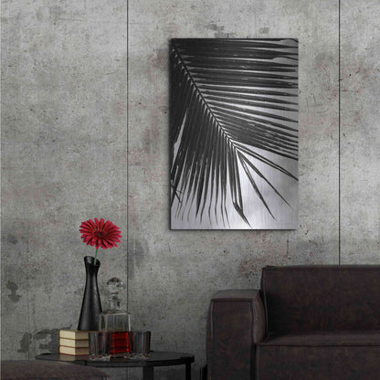 Luxe Metal Art 'Palm Frond II' by Debra Van Swearingen, Metal Wall Art,24x36