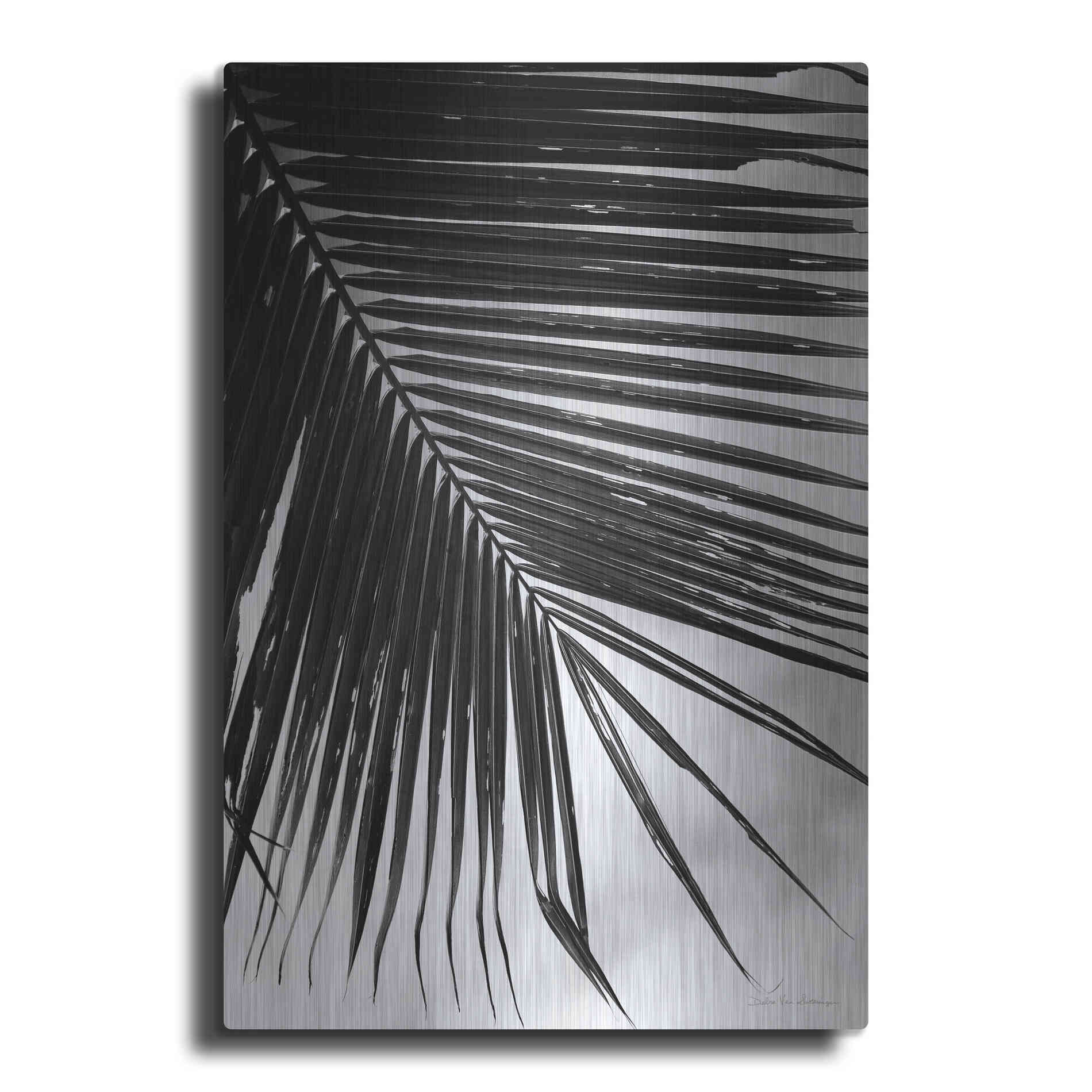 Luxe Metal Art 'Palm Frond II' by Debra Van Swearingen, Metal Wall Art