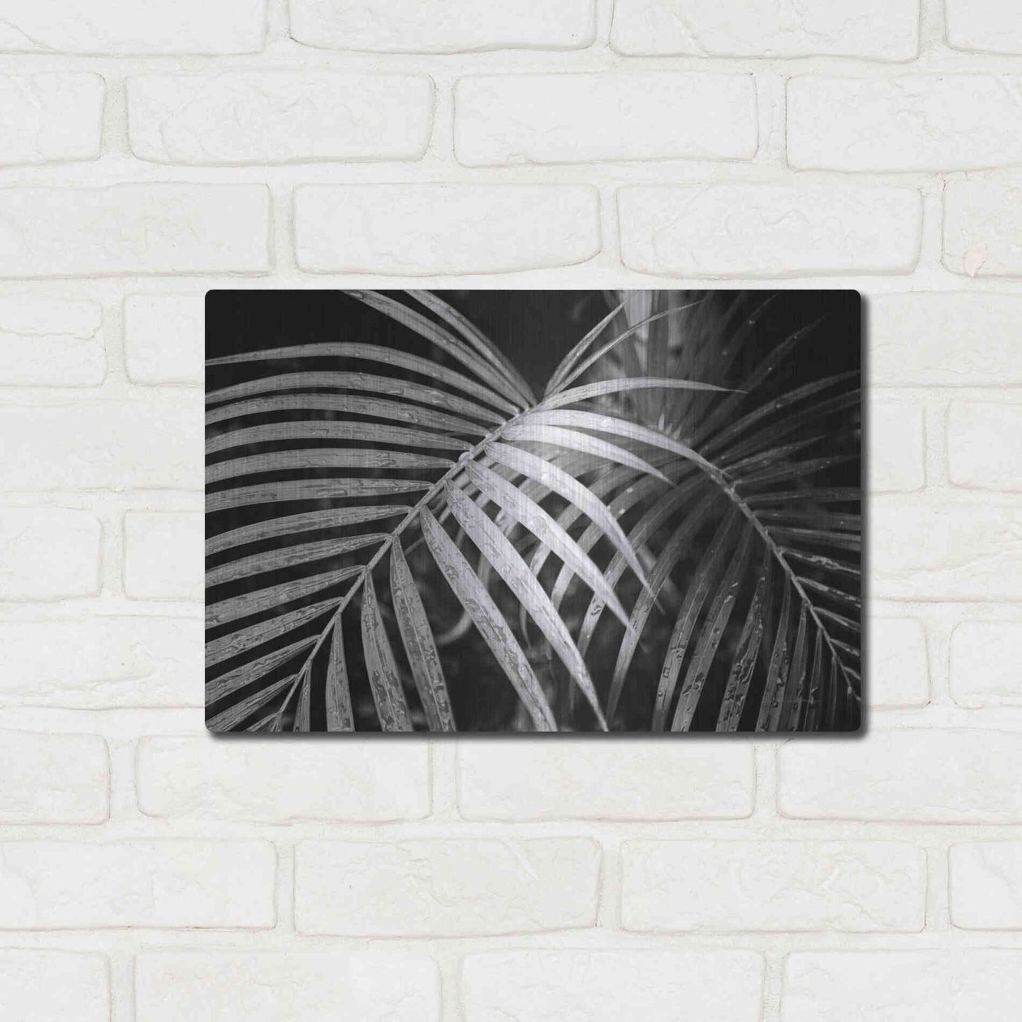 Luxe Metal Art 'Palm Fronds' by Debra Van Swearingen, Metal Wall Art,16x12