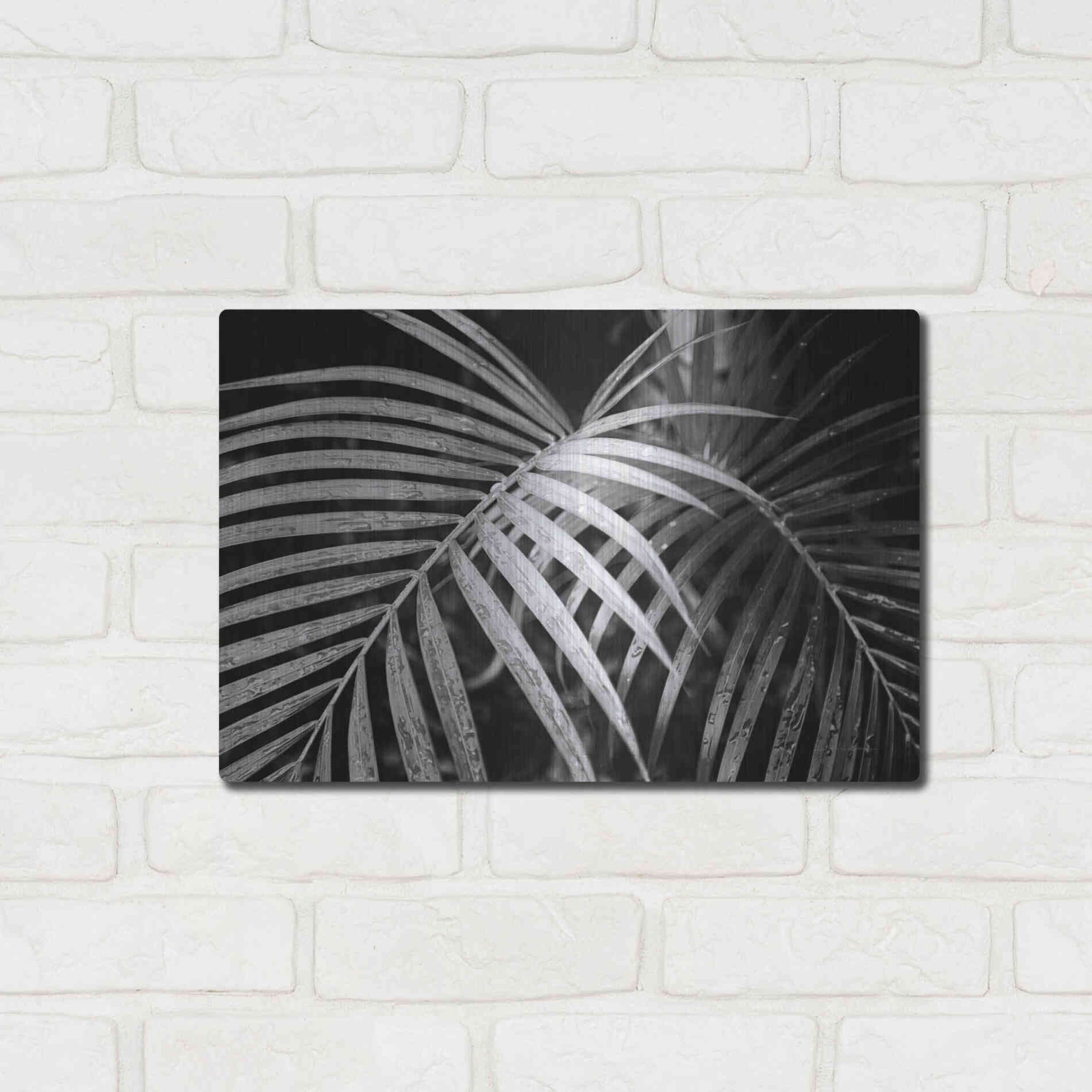 Luxe Metal Art 'Palm Fronds' by Debra Van Swearingen, Metal Wall Art,16x12