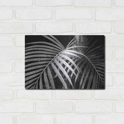 Luxe Metal Art 'Palm Fronds' by Debra Van Swearingen, Metal Wall Art,16x12