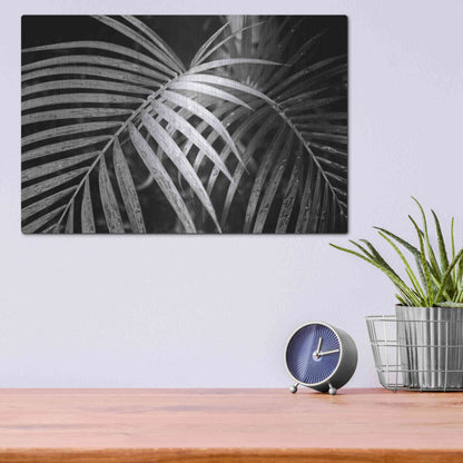 Luxe Metal Art 'Palm Fronds' by Debra Van Swearingen, Metal Wall Art,16x12