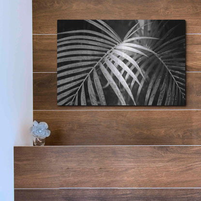 Luxe Metal Art 'Palm Fronds' by Debra Van Swearingen, Metal Wall Art,16x12