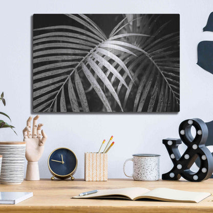 Luxe Metal Art 'Palm Fronds' by Debra Van Swearingen, Metal Wall Art,16x12