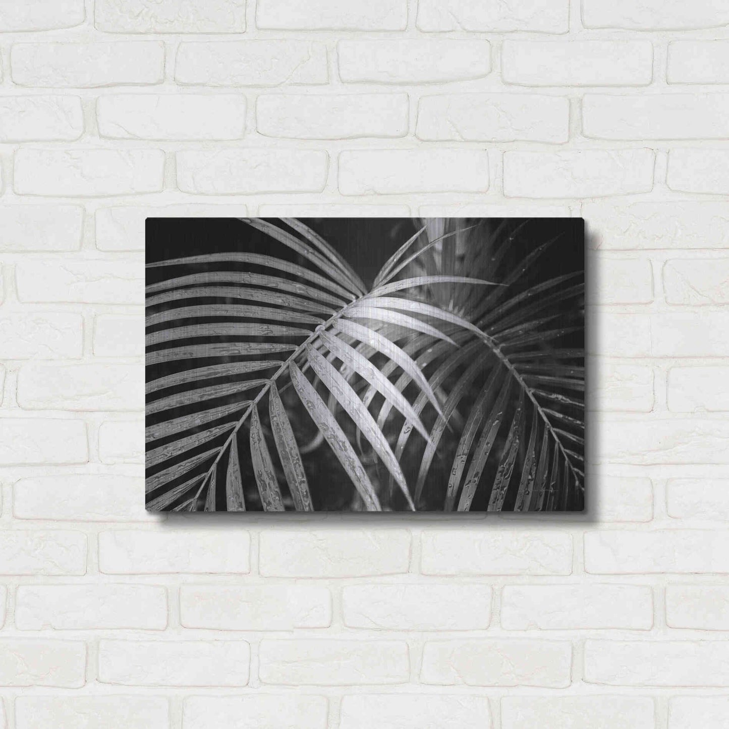 Luxe Metal Art 'Palm Fronds' by Debra Van Swearingen, Metal Wall Art,24x16