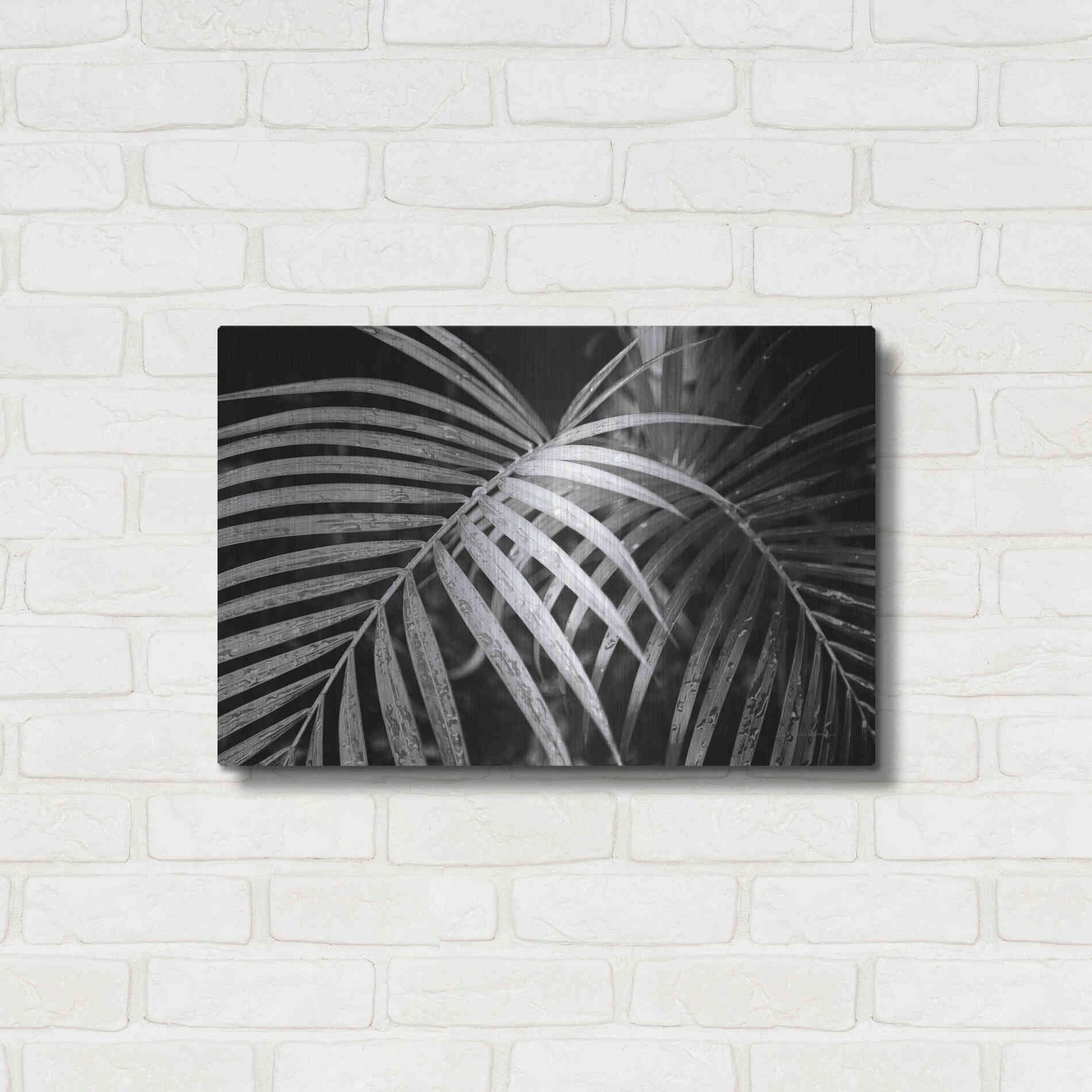 Luxe Metal Art 'Palm Fronds' by Debra Van Swearingen, Metal Wall Art,24x16