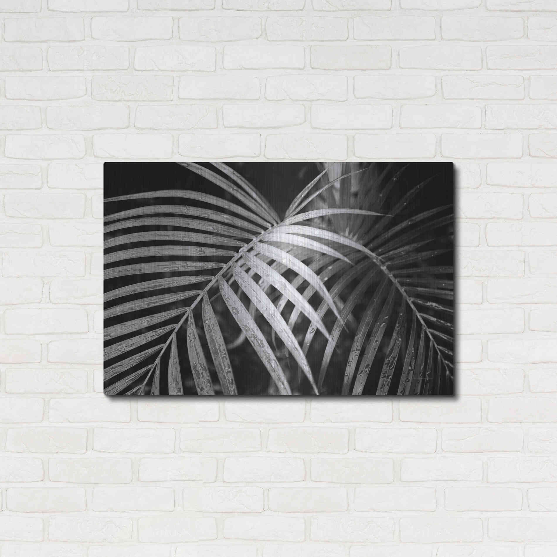 Luxe Metal Art 'Palm Fronds' by Debra Van Swearingen, Metal Wall Art,36x24