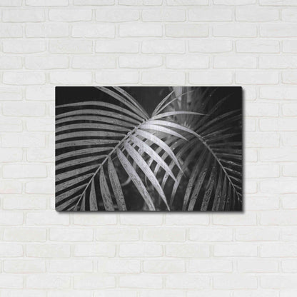 Luxe Metal Art 'Palm Fronds' by Debra Van Swearingen, Metal Wall Art,36x24