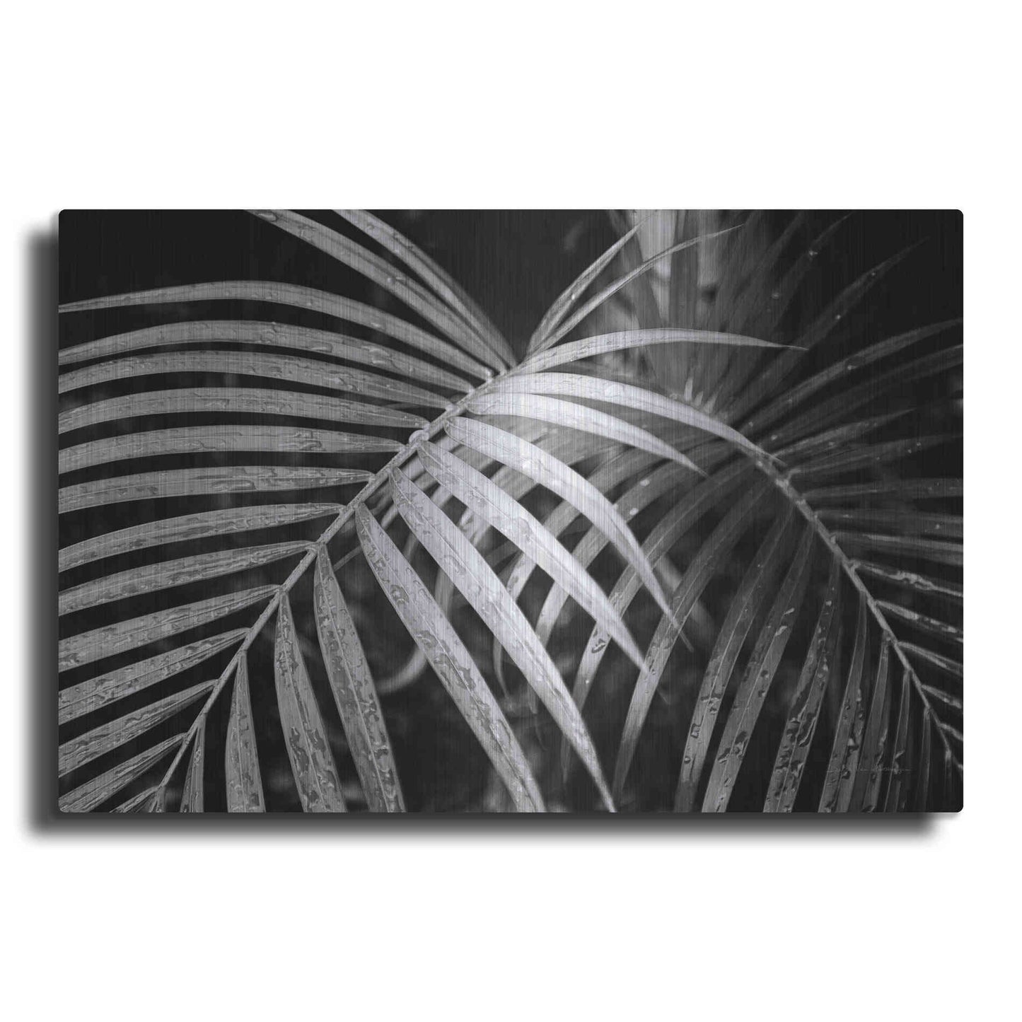 Luxe Metal Art 'Palm Fronds' by Debra Van Swearingen, Metal Wall Art