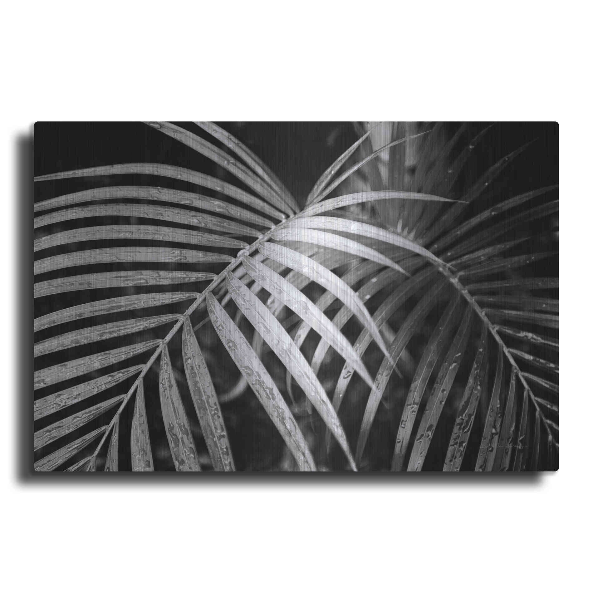 Luxe Metal Art 'Palm Fronds' by Debra Van Swearingen, Metal Wall Art