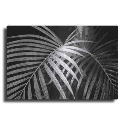 Luxe Metal Art 'Palm Fronds' by Debra Van Swearingen, Metal Wall Art