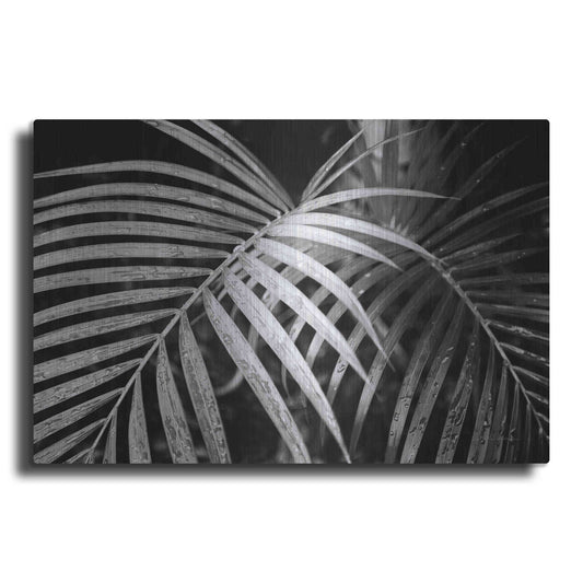 Luxe Metal Art 'Palm Fronds' by Debra Van Swearingen, Metal Wall Art