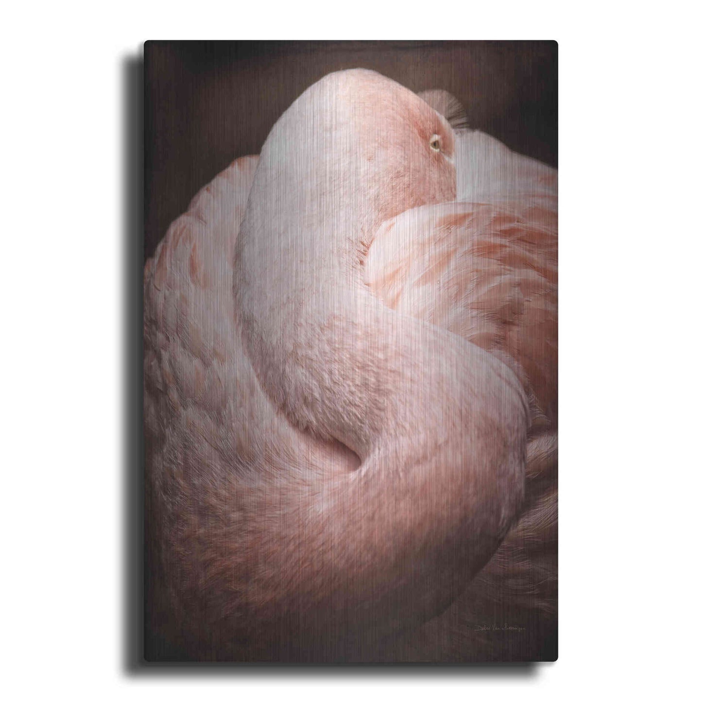 Luxe Metal Art 'Chilean Flamingo I' by Debra Van Swearingen, Metal Wall Art