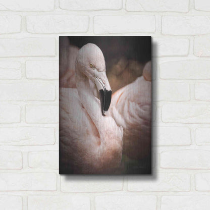 Luxe Metal Art 'Chilean Flamingo II' by Debra Van Swearingen, Metal Wall Art,12x16