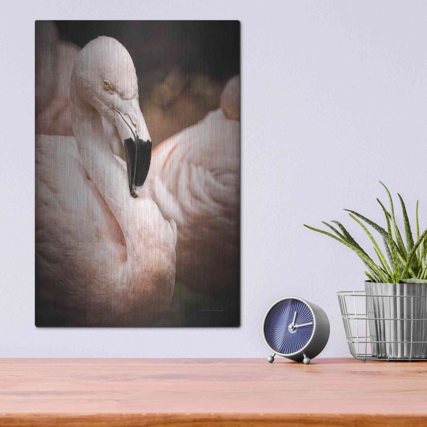 Luxe Metal Art 'Chilean Flamingo II' by Debra Van Swearingen, Metal Wall Art,12x16