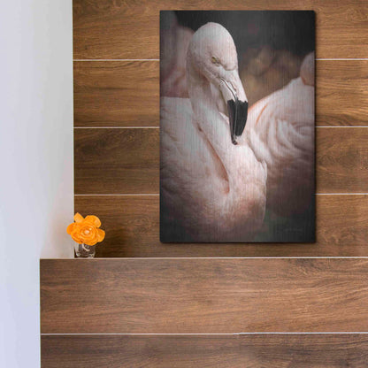 Luxe Metal Art 'Chilean Flamingo II' by Debra Van Swearingen, Metal Wall Art,12x16