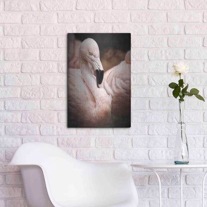 Luxe Metal Art 'Chilean Flamingo II' by Debra Van Swearingen, Metal Wall Art,16x24